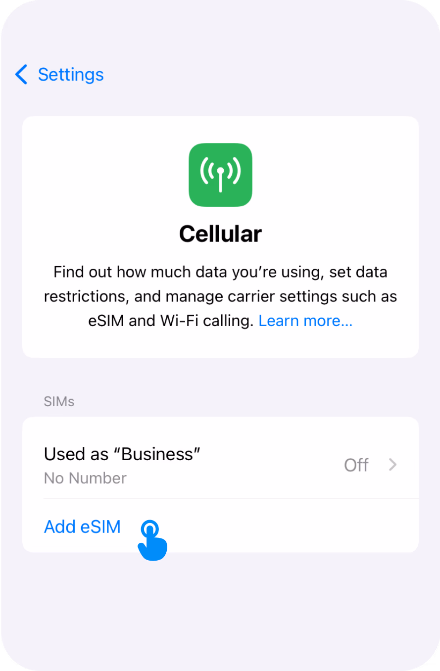 Go to Settings → Mobile Data → Add eSIM.